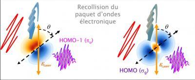Observer la dynamique électronique dans une molécule à l'échelle de l'attoseconde (10-18 - 10-15 s)